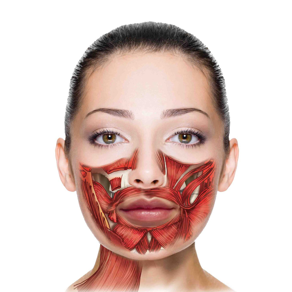 Myofunkční terapie - zdravý vývoj dítěte